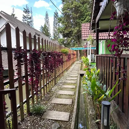 Hillside Cottage Chalet Studio Tanah Rata Exterior photo